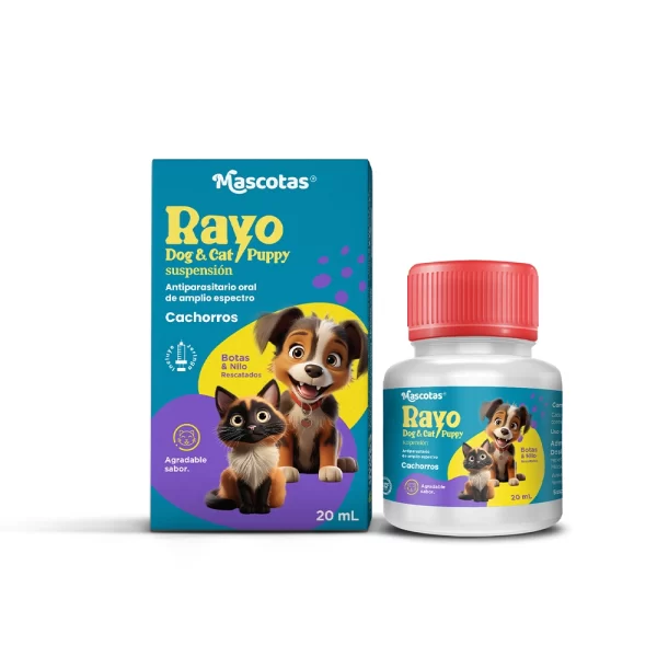 RayoDog-cachorros