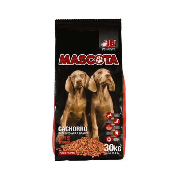 PUPPIES</br>MEDIUM TO LARGE BREED