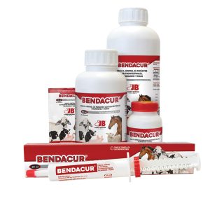 Bendacur