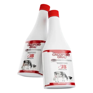 Calcifort Oral reconstituyente mineral para bovinos