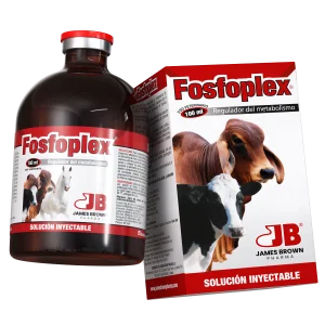 Fosfoplex
