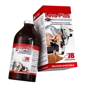 Leva Plus