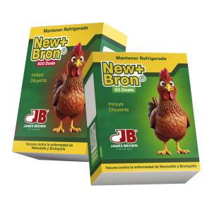 NewBron-copia.webp