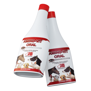 Render-AminoVit-Oral