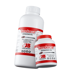 Render-Bendacur