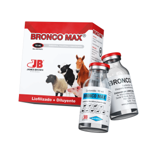 Render-Bronco-Max