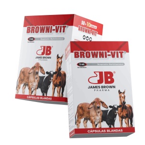 Render-Browni-Vit