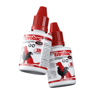 Render-Enrobac