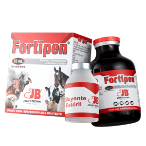 Render-Fortipen