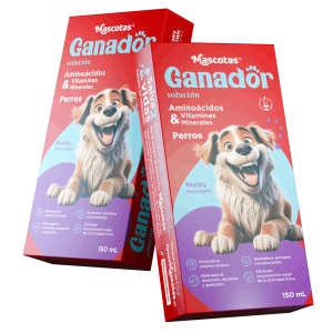 Render-Ganador-Perros