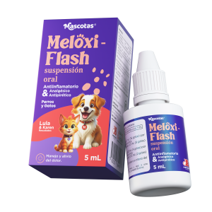 Render-Meloxiflash