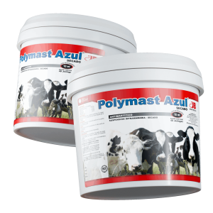 Render-Polymast-Azul