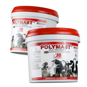 Render-Polymast-rojo