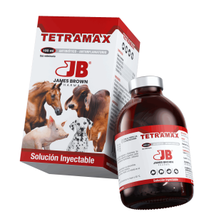 Render-Tetramax