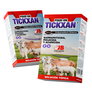Render-Tickxan