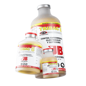 Render-Tribac-8